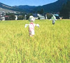 中里秋祭り